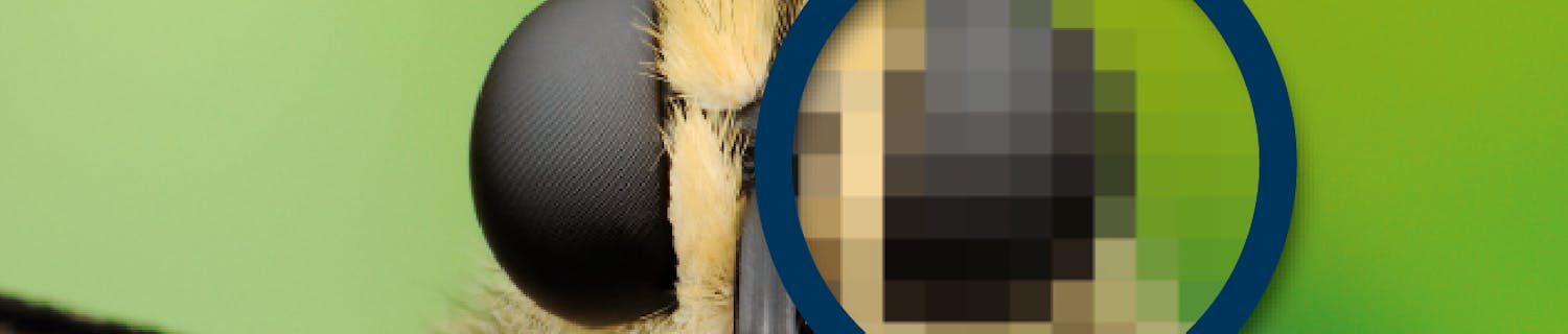 forskellen mellem dpi og ppi